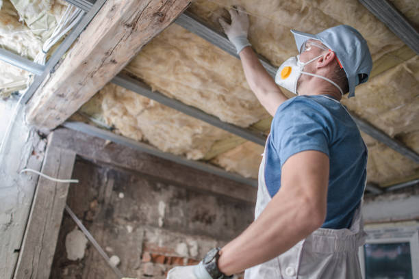 Best Geographic-Specific Insulation Services in Mount Pocono, PA